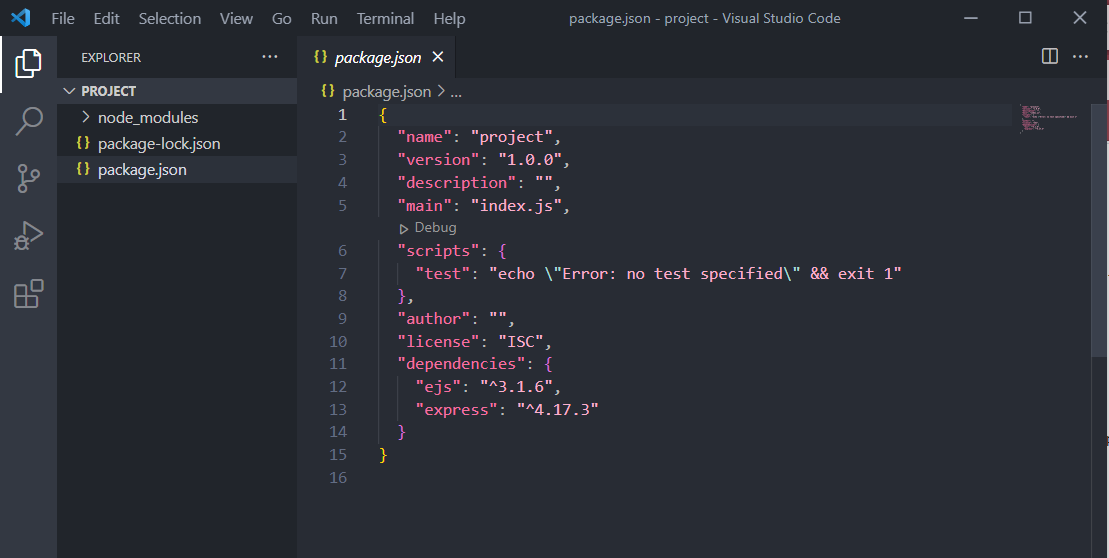 Screenshot of package.json file