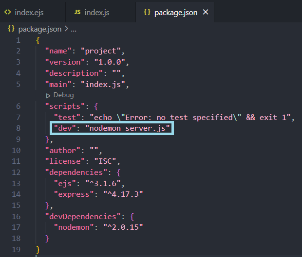 Screenshot of package.json with nodemon listed
