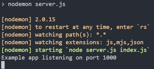 Screenshot of nodemon working in terminal
